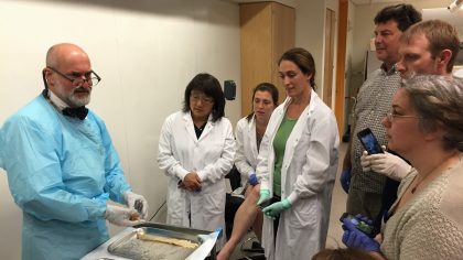 Group of people looking at brain in lab.