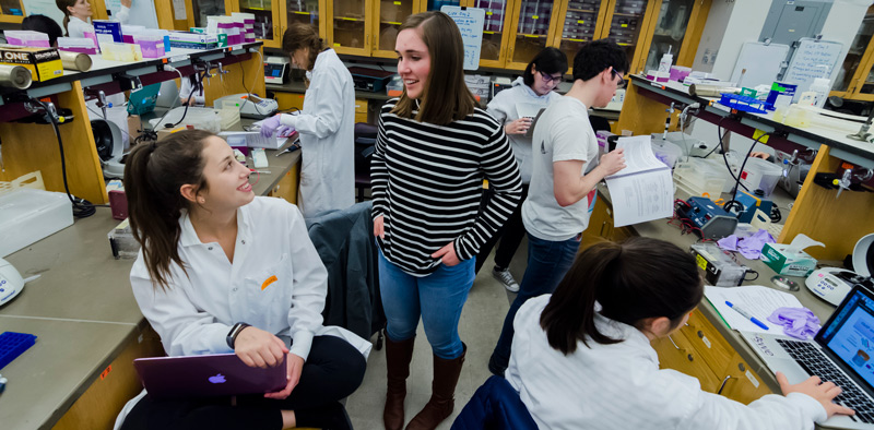 Students in lab