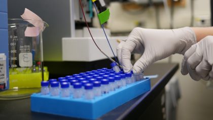 Gloved hand holding small test tube in tray full of test tubes