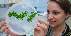 Person holding petri dish