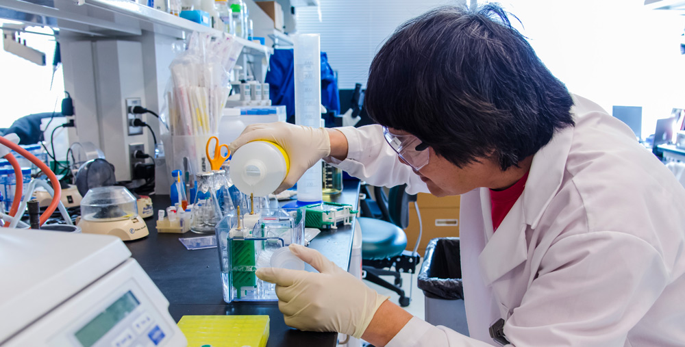 Person working at lab bench