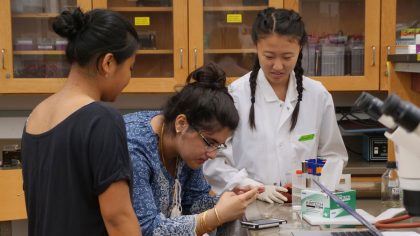 Students in lab