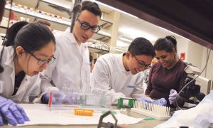 Students working in lab