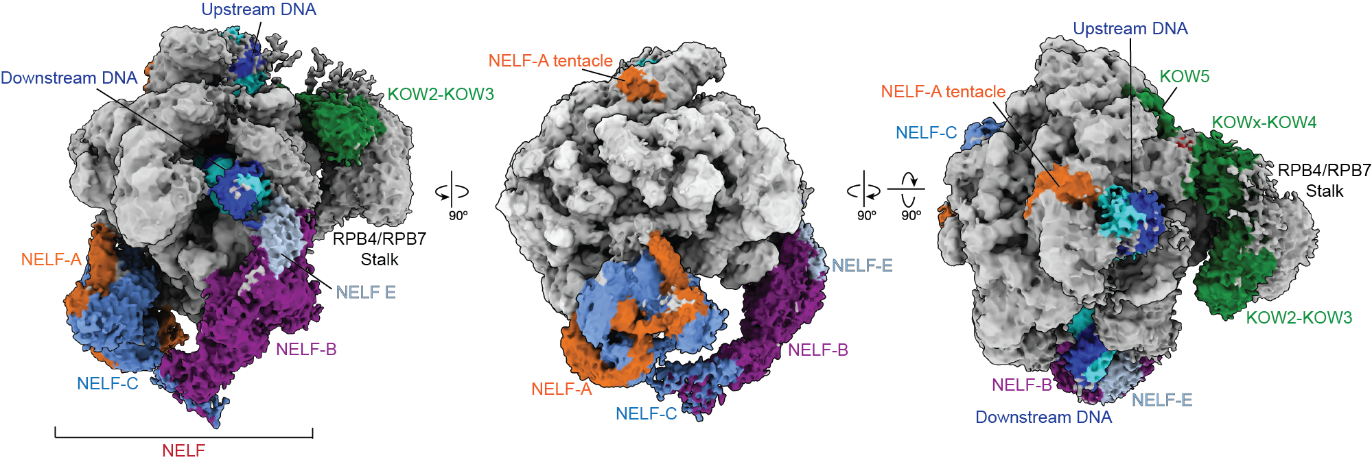 News Brief: Vos Lab