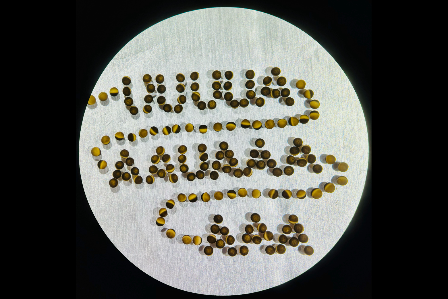 De-tail-ing RNA regulation in eggs and early embryos