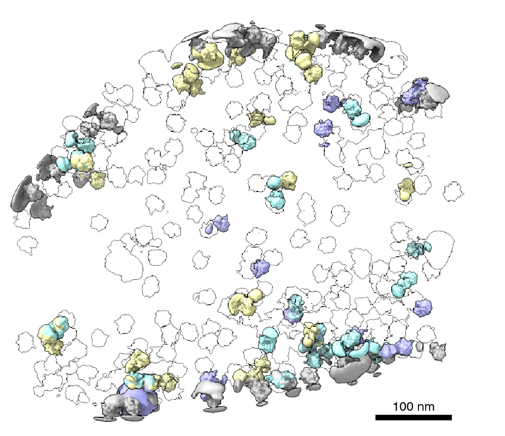 News brief: Davis Lab