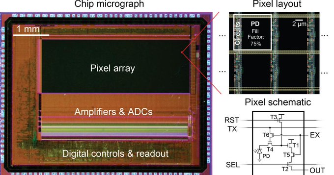 With programmable pixels, novel sensor improves imaging of neural activity