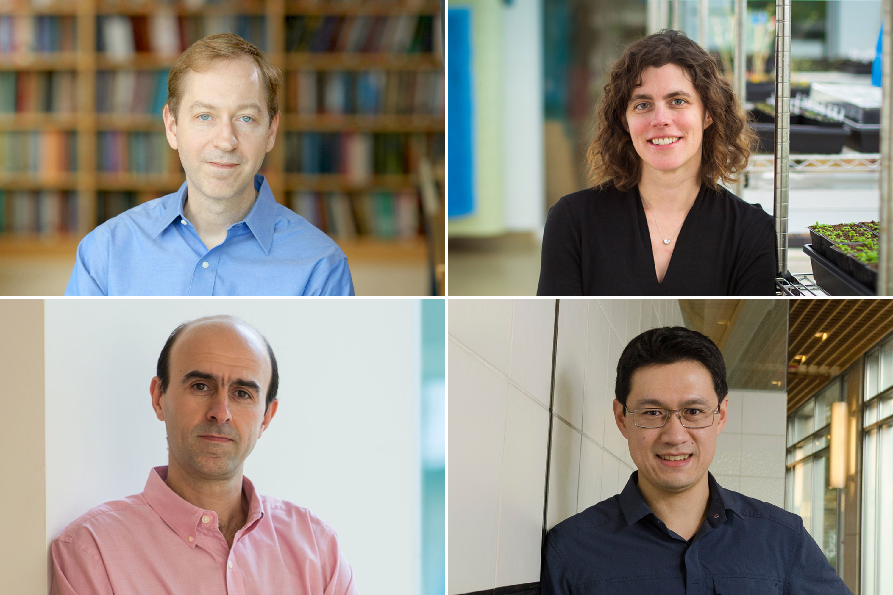 MIT affiliates named 2024 HHMI Investigators