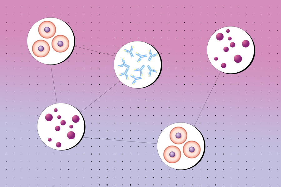 A new approach to modeling complex biological systems